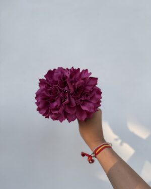 RAMILLETE DOS FLORES ROSA FUERTE