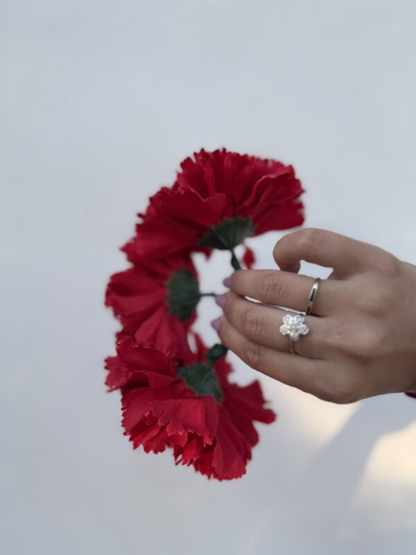 CORONA DE CLAVELES ROJOs - Imagen 2
