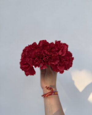 CORONA DE CLAVELES ROJOs