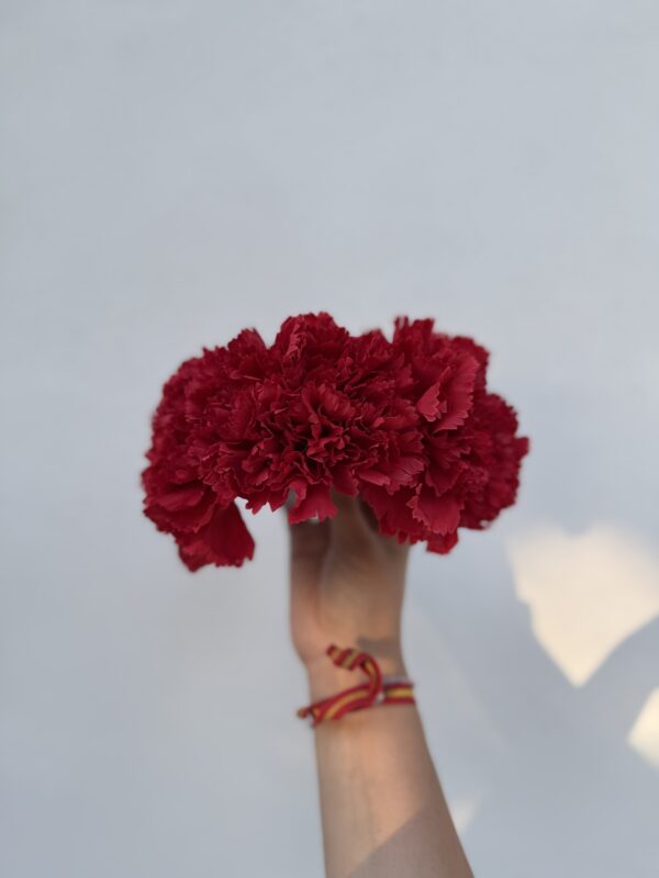 CORONA DE CLAVELES ROJOs