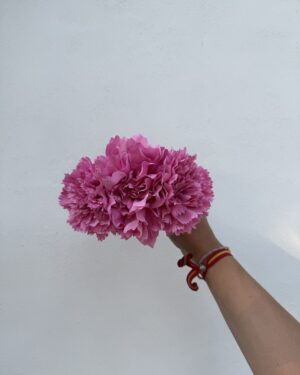 RAMILLETE CLAVELES ROSA
